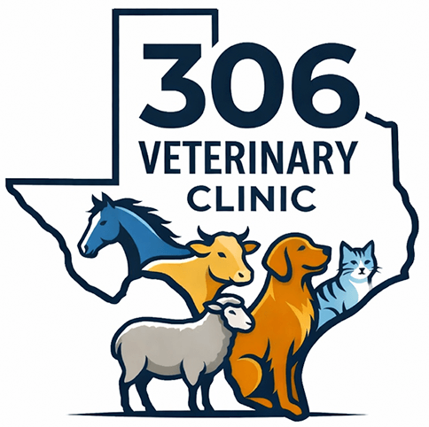 306 Veterinary Clinic logo