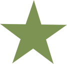 306 Veterinary Clinic brand star icon in green