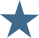 306 Veterinary Clinic brand star icon in blue