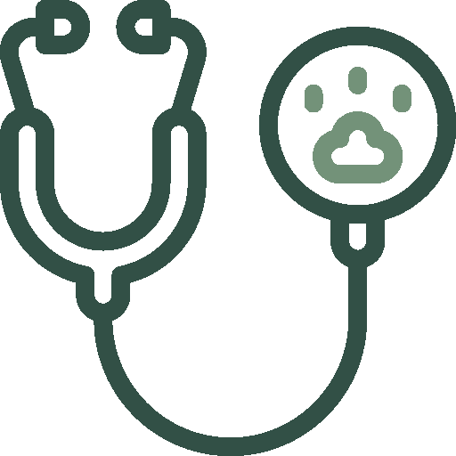pet checkup icon